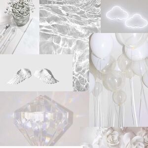 White 🤍🐩🕊️🦢🐇🦴